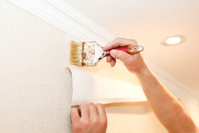 Pose de papier peint à Bassignac-le-Bas — revêtements muraux et toiles de verre